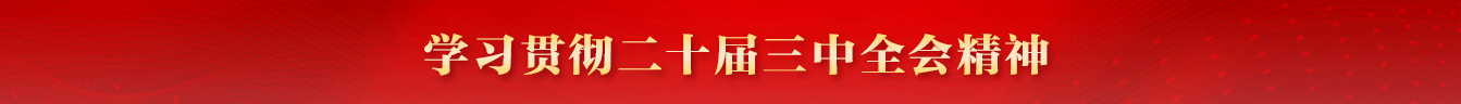 学习贯彻党的二十届三中全会精神